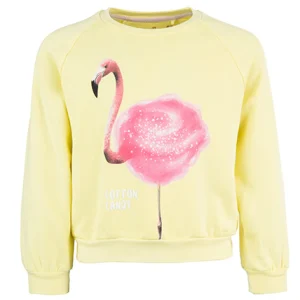 Best - COTTON CANDY Sweaters | Sweaters Zonder Kap