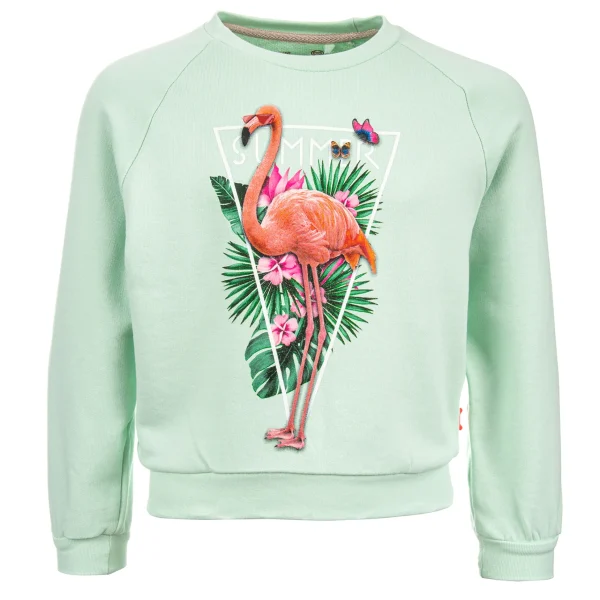 Outlet - SUMMER FLAMINGO Sweaters | Sweaters Zonder Kap