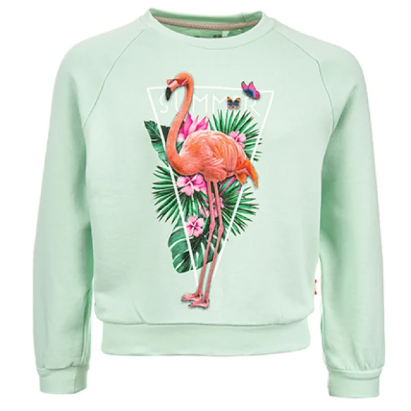 Clearance - SUMMER FLAMINGO Sweaters | Sweaters Zonder Kap
